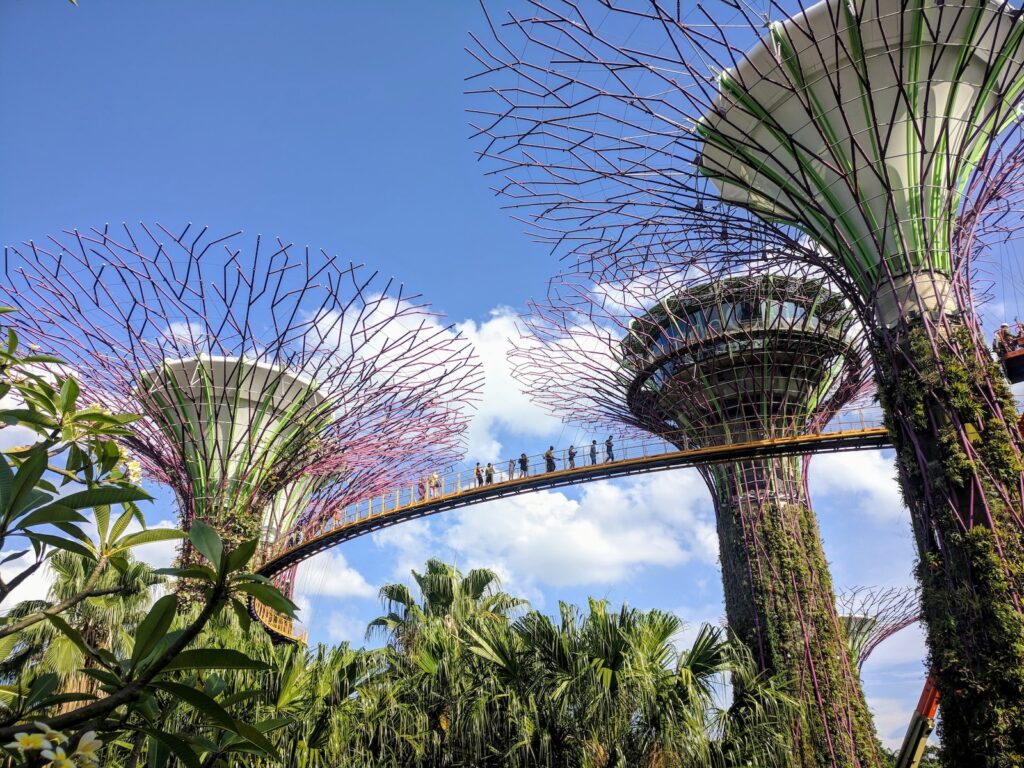 green trees under blue sky during daytime